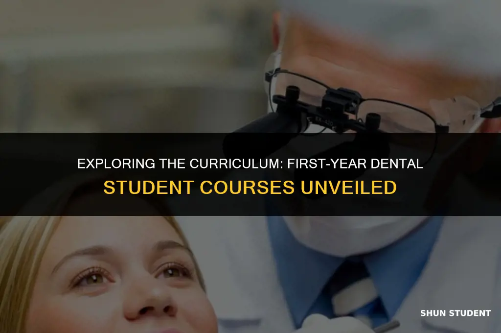 what courses do first year dental students take