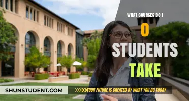 Exploring the Essential Courses for International Students Abroad