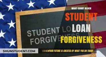 Court Blocks Student Loan Forgiveness: What Borrowers Need to Know