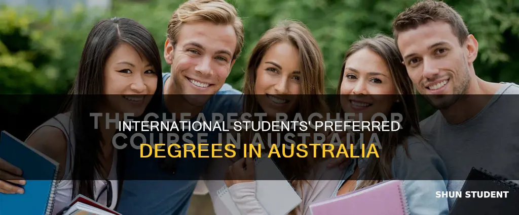 what degree international student choose the most in aus