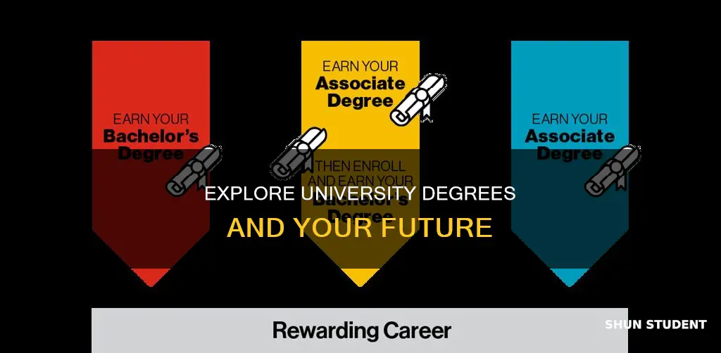 what degrees could students obtain by going to university