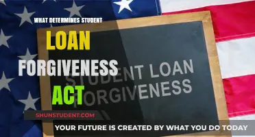 Understanding Factors Influencing Student Loan Forgiveness Act Eligibility