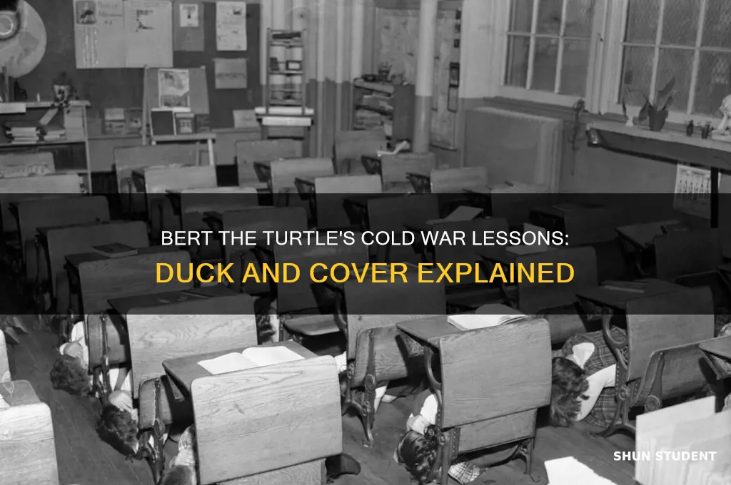 what did bert the turtle teach students