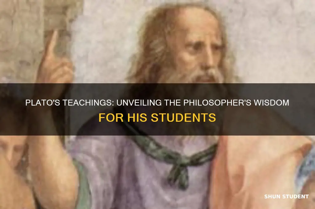 what did plato teach his students