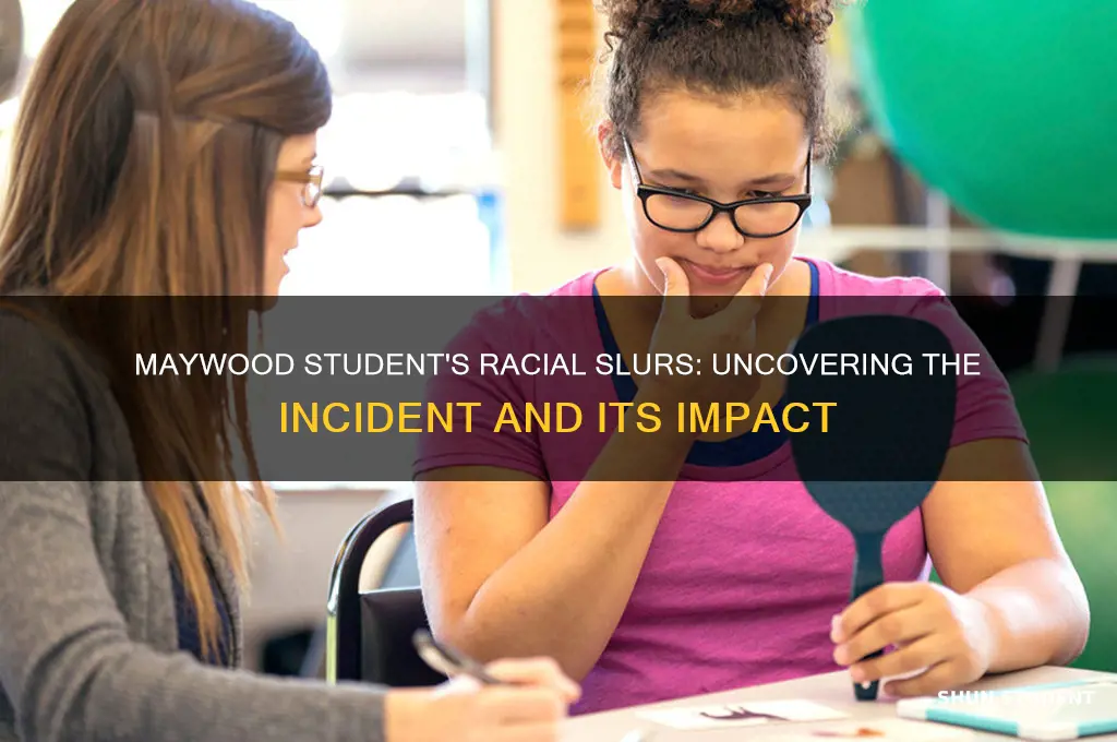 what did racial slurs did maywood student say to teacher