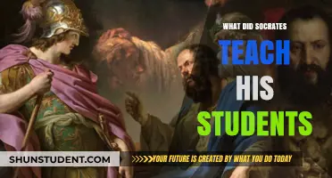 Socrates' Teachings: Unveiling the Philosopher's Wisdom and Legacy