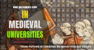 Medieval Education: Unveiling the Curriculum of Ancient Scholars