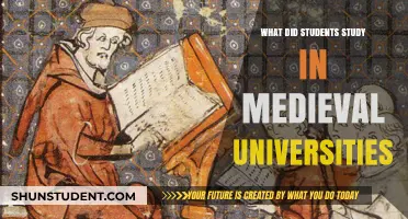 Medieval University Studies: A Historical Glimpse
