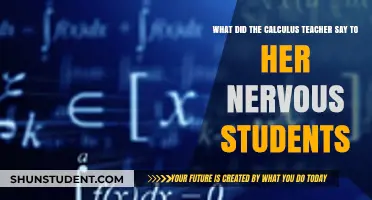Calculus Teacher's Reassuring Words to Nervous Students Before the Exam