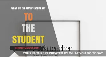 What Did the Math Teacher Say? A Lesson in Humor and Wisdom