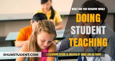Observations from Student Teaching: Insights, Challenges, and Growth in the Classroom