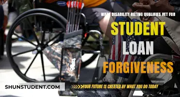 Veterans: Disability Ratings for Student Loan Forgiveness Explained