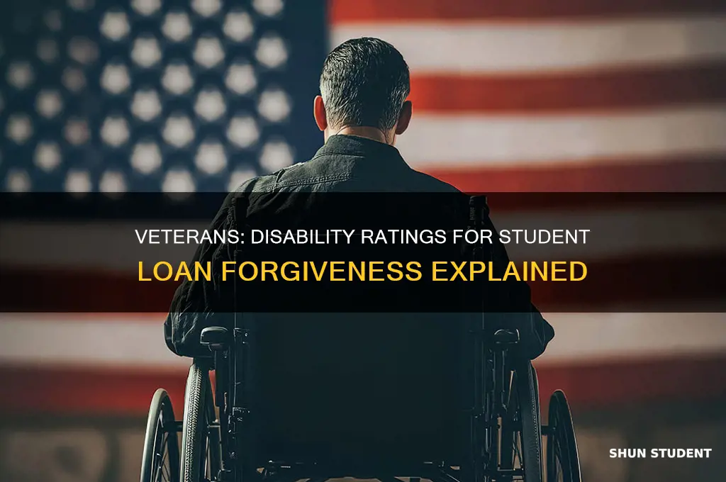 what disability rating qualifies vet for student loan forgiveness