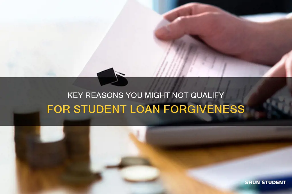 what disqualifies you from student loan forgiveness