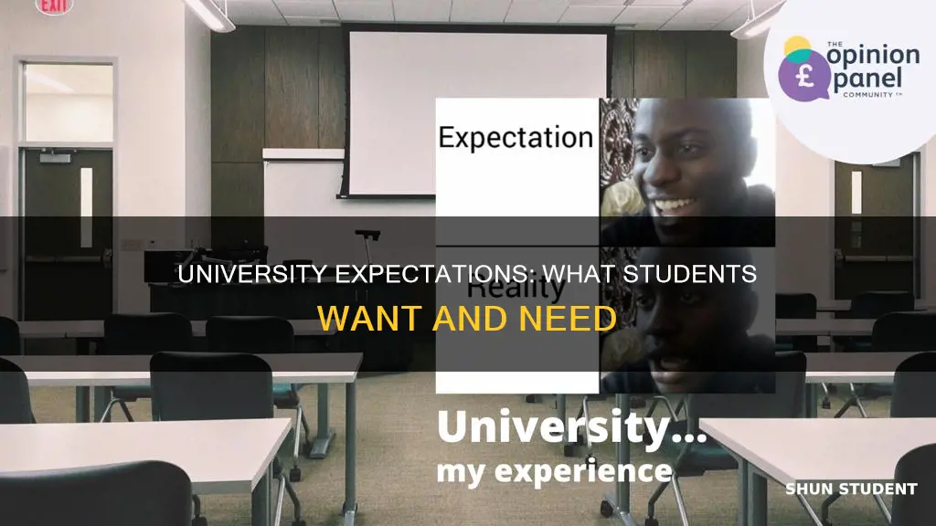 what do a student expect from their university