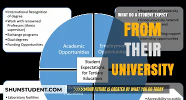 Expectations of University Life: A Student's Perspective