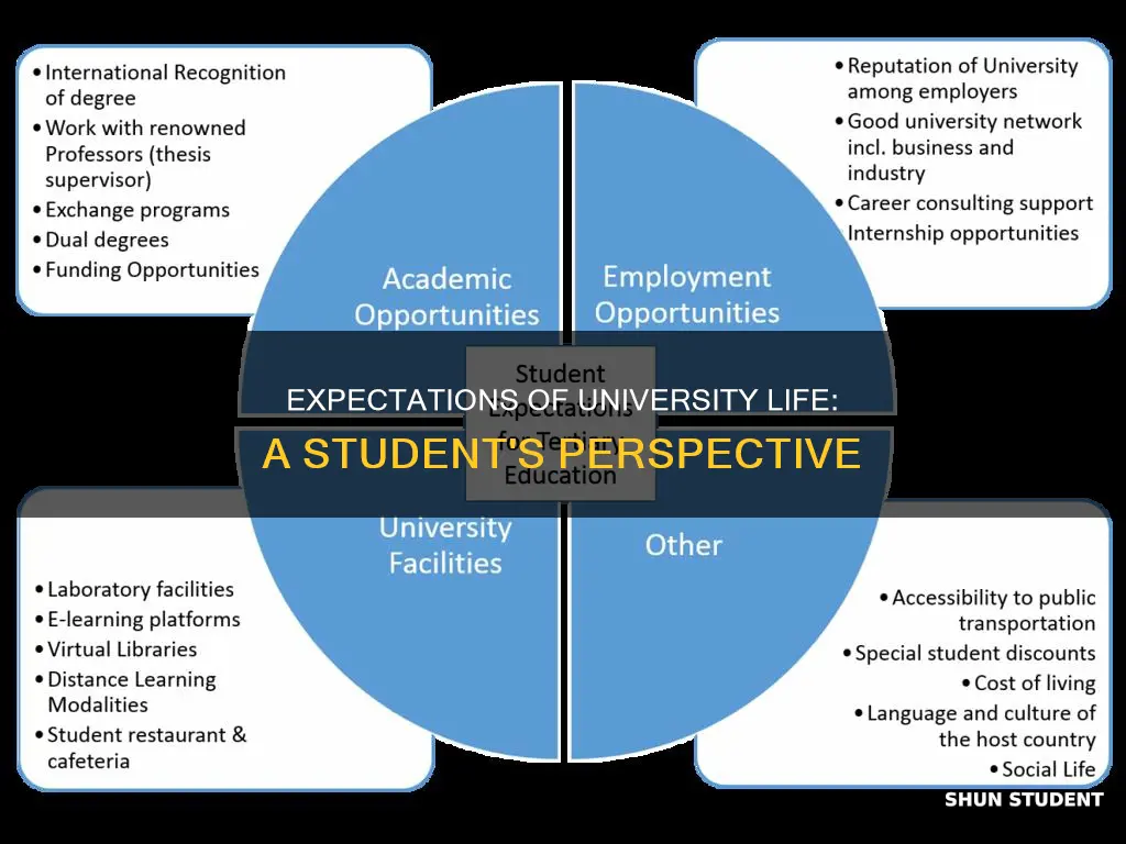 what do a student expect from their university