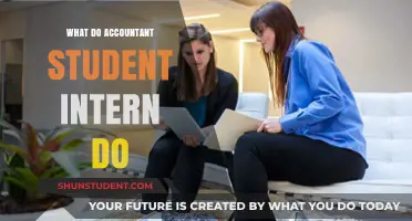 Accountant Student Intern: What's the Role?