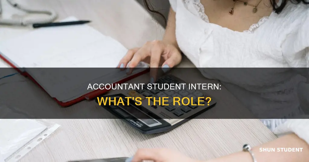 what do accountant student intern do