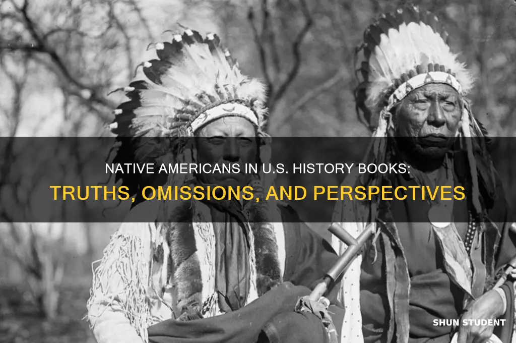 what do american history books teach students about native americans