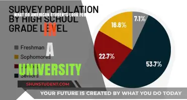 Key Factors Influencing American Students' University Choices