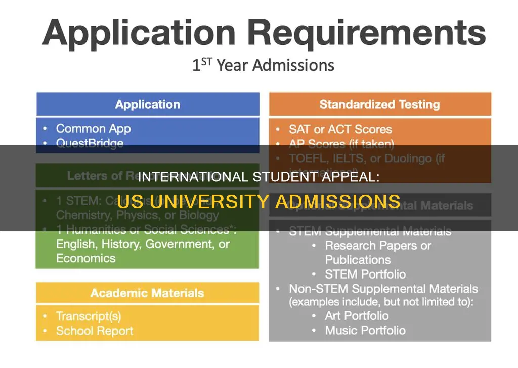 what do american universities look for in international students