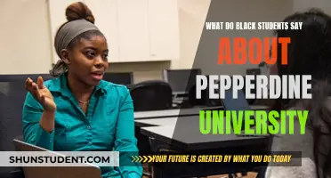 Black Students' Perspectives: Pepperdine University's Impact on Their Academic Journey