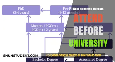 Pre-University Education: The British Foundation Year
