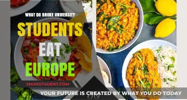 University Student Food Survival Guide in Europe