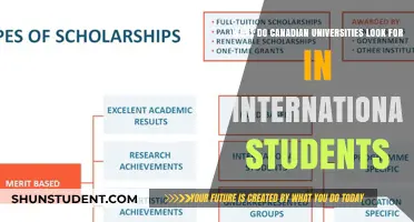 Canadian Universities: What Makes International Students Stand Out?