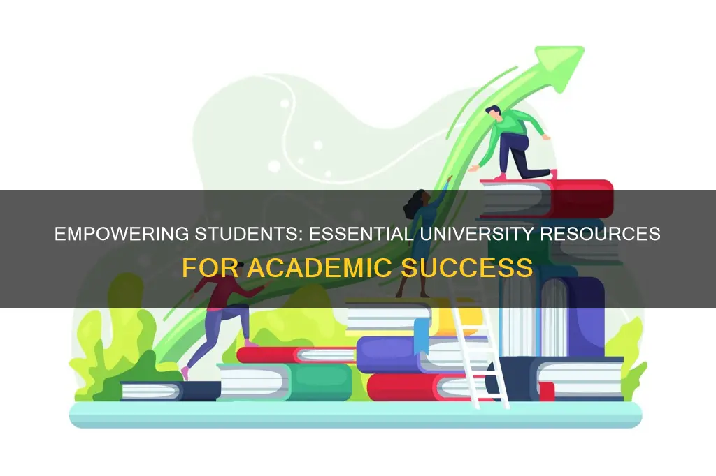 what do college students need from universities