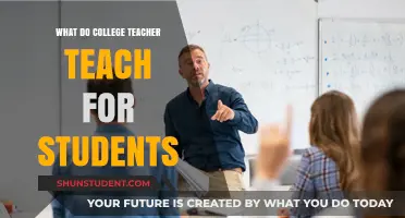 What College Professors Teach: Skills, Knowledge, and Real-World Applications