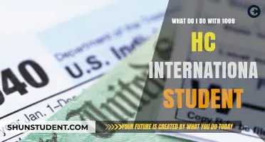 Understanding 1099-HC Forms for International Students