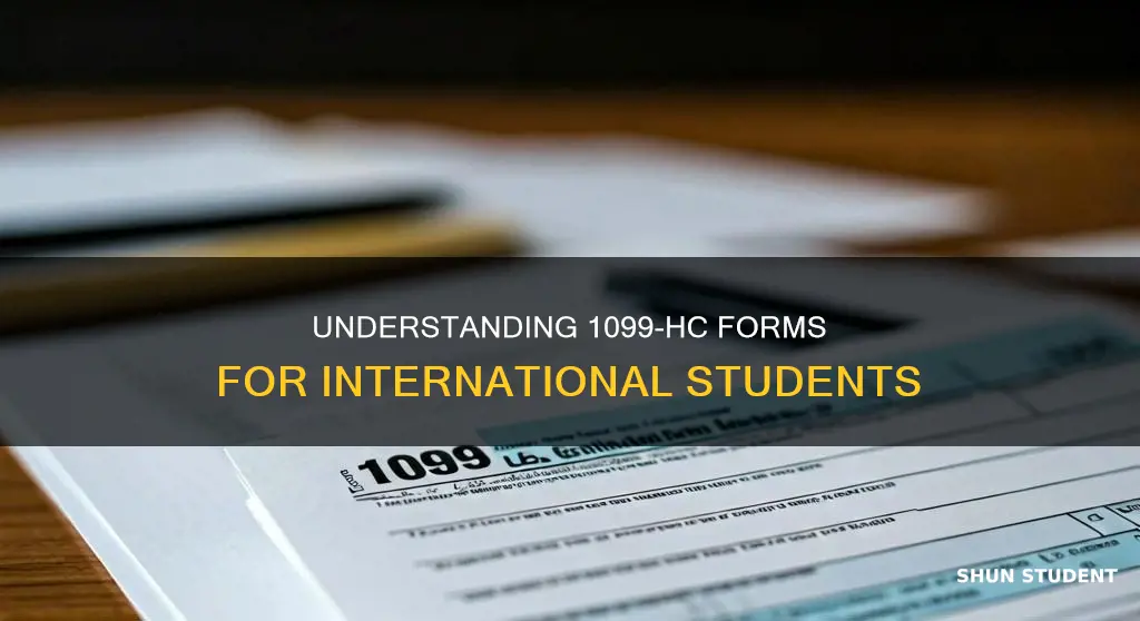 what do i do with 1099 hc international student