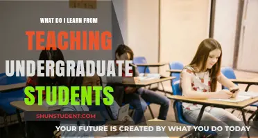 Teaching Undergraduates: Lessons Learned and Insights Gained in Academia