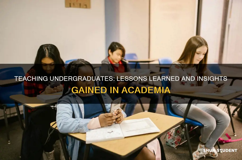 what do i learn from teaching undergraduate students
