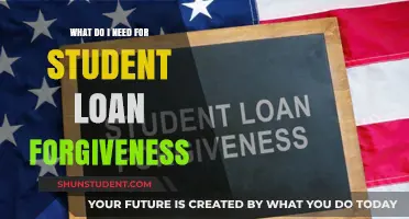 Student Loan Forgiveness: Essential Requirements for Debt Relief Success