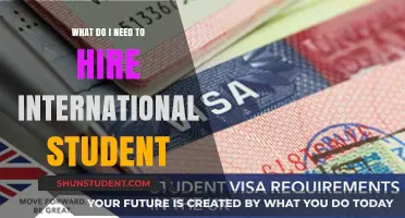 Hiring International Students: What You Need to Know