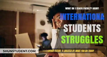 Teaching Faculty to Understand International Student Struggles