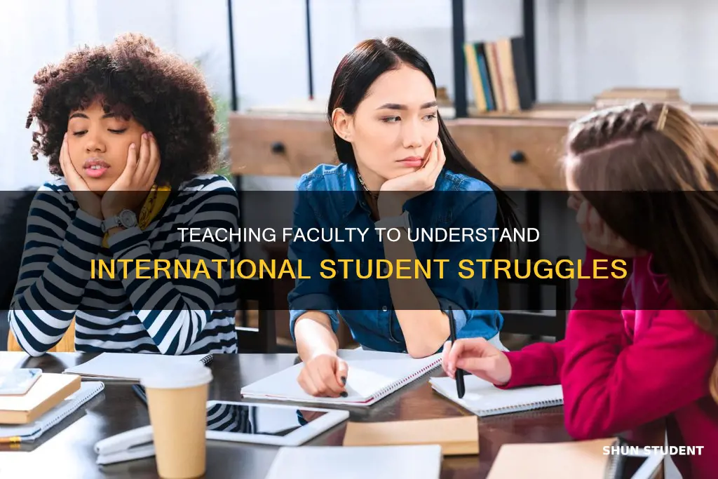 what do i teach faculty about international students struggles