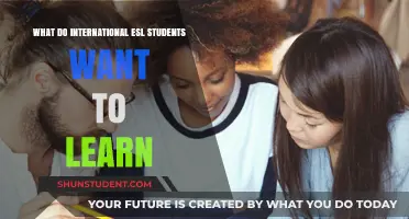 ESL Students' Learning Desires Unveiled