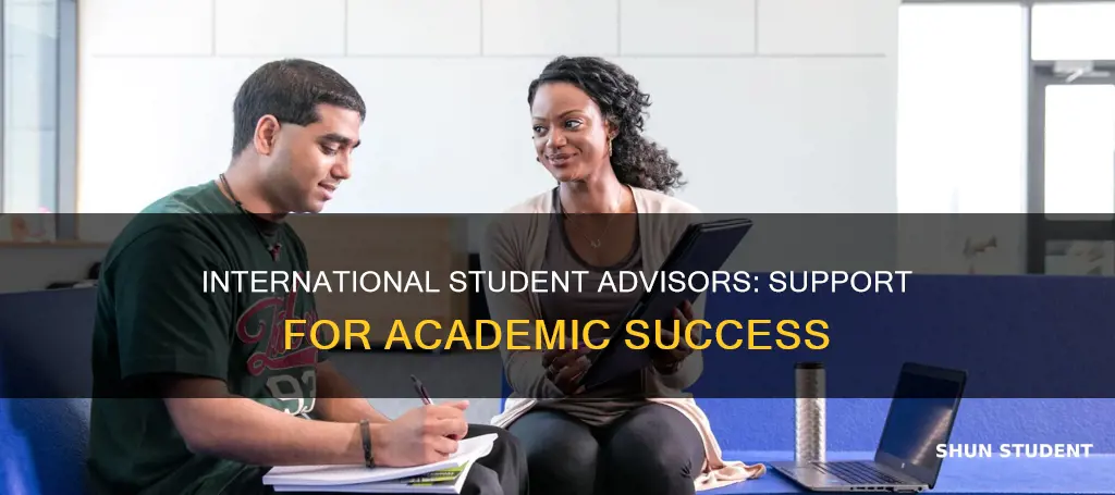 what do international student advisors do