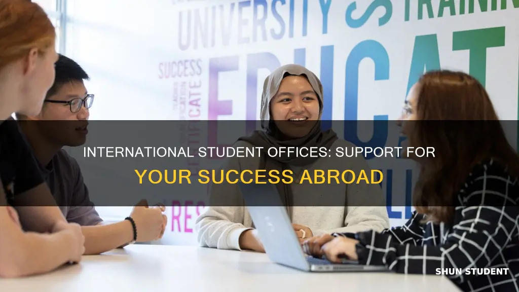 what do international student offices do