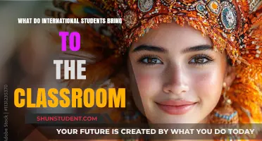 Diverse Perspectives: International Students Enrich Classroom Dynamics