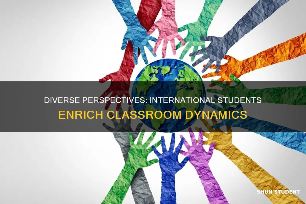 what do international students bring to the classroom