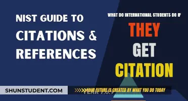 International Students: Understanding Citation Consequences