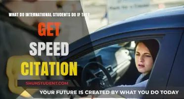 International Students: Handling a Speeding Ticket