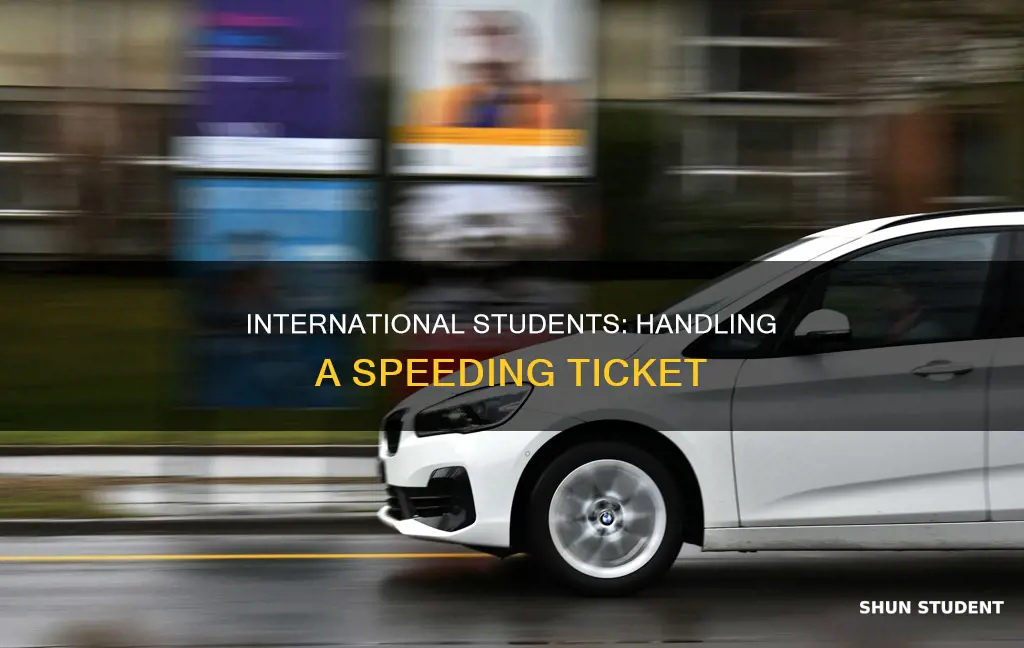 what do international students do if they get speed citation