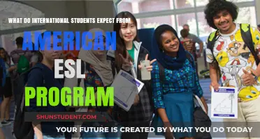American ESL Programs: International Student Expectations