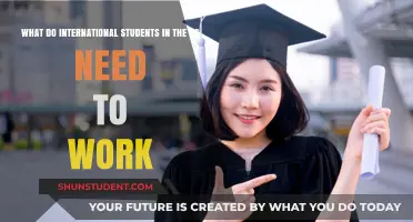 International Students in the US: Work Visa Essentials